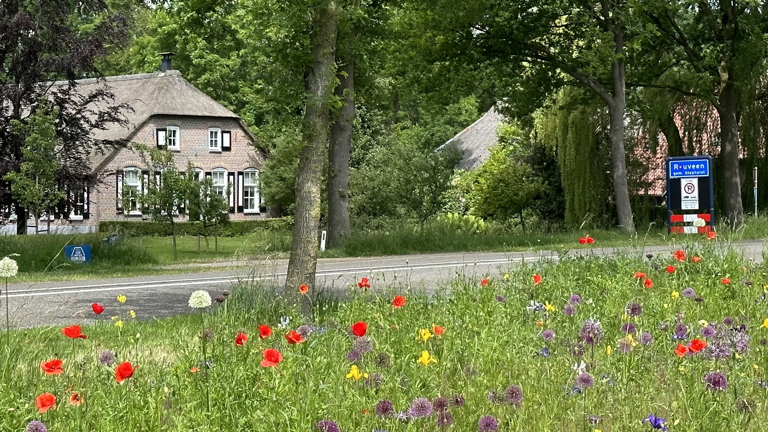 Bed and Breakfast Rouveen